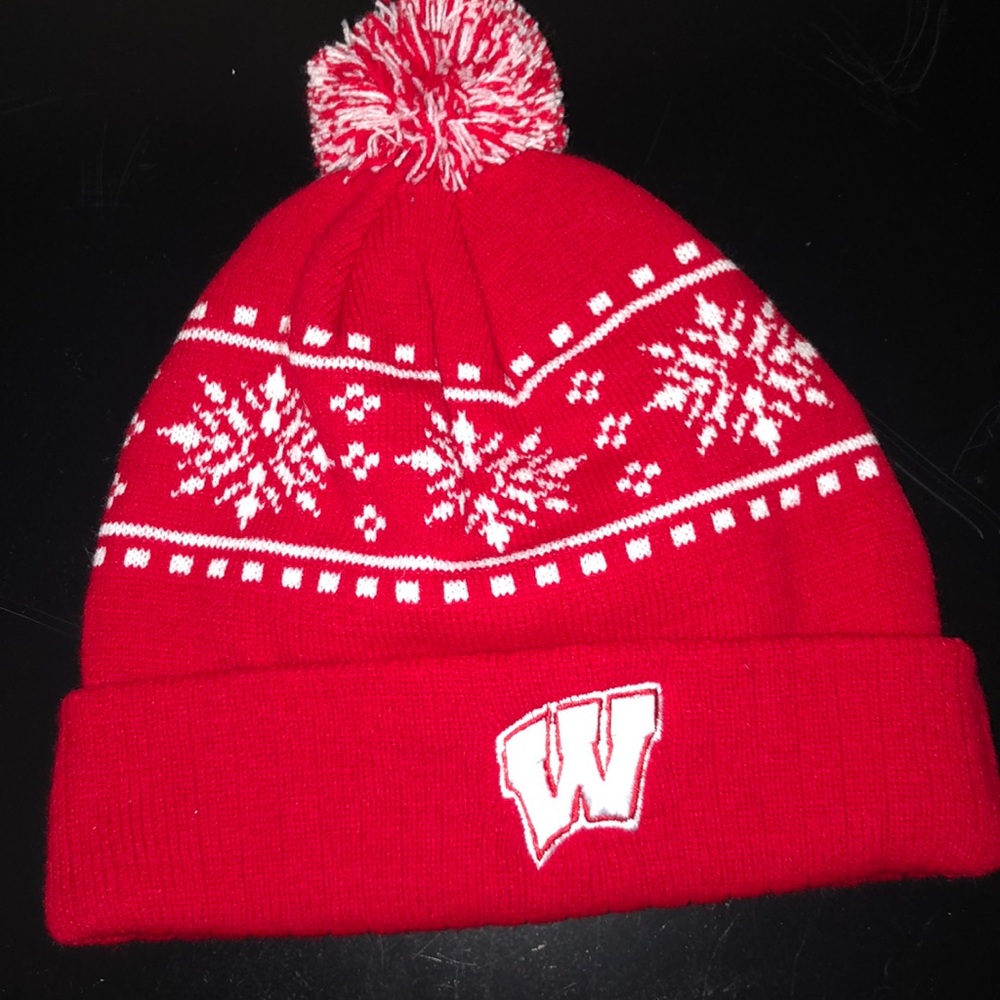 Badgers Knit Winter Hat